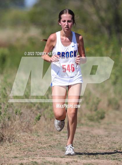 Thumbnail 3 in Brock Cross Country Meet photogallery.