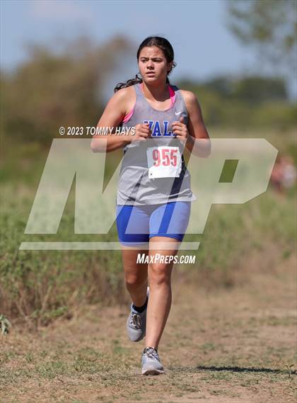 Thumbnail 2 in Brock Cross Country Meet photogallery.