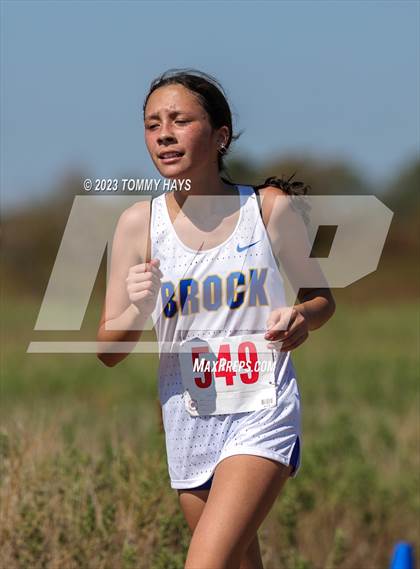 Thumbnail 3 in Brock Cross Country Meet photogallery.