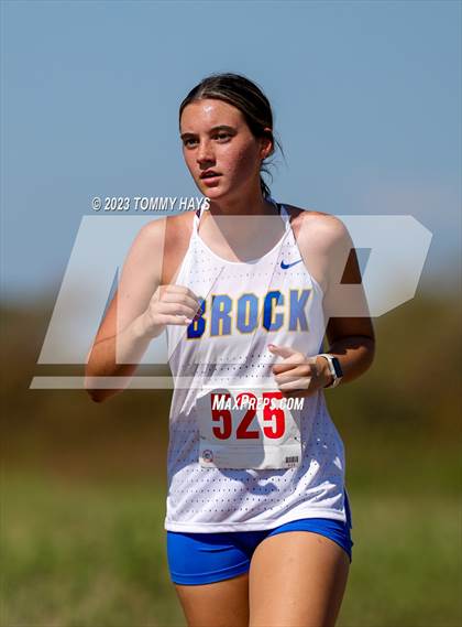 Thumbnail 2 in Brock Cross Country Meet photogallery.