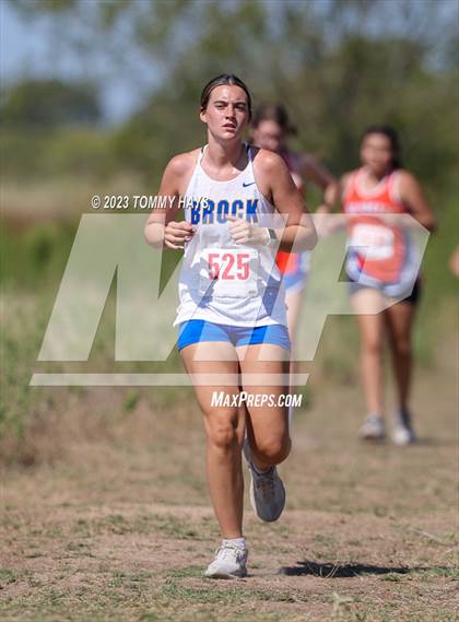 Thumbnail 1 in Brock Cross Country Meet photogallery.