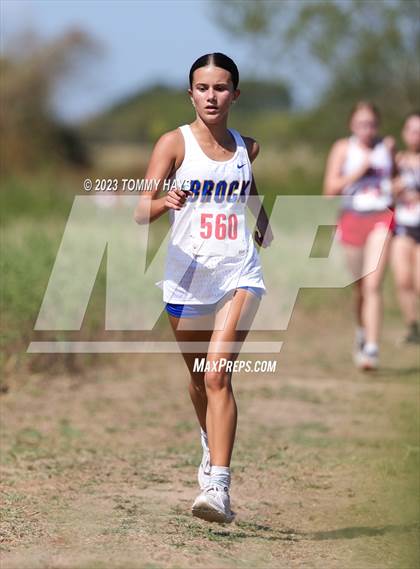 Thumbnail 1 in Brock Cross Country Meet photogallery.