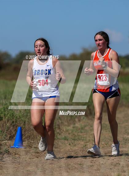 Thumbnail 1 in Brock Cross Country Meet photogallery.