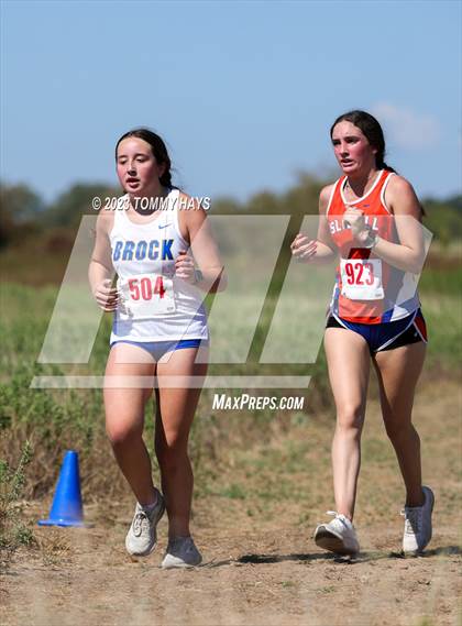 Thumbnail 2 in Brock Cross Country Meet photogallery.