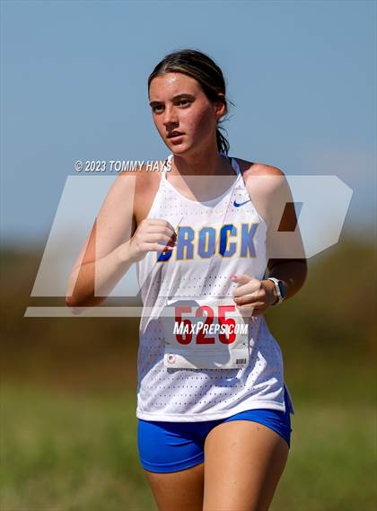 Thumbnail 3 in Brock Cross Country Meet photogallery.