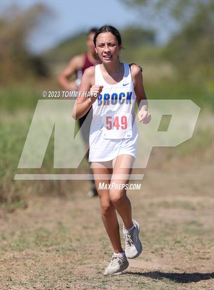Thumbnail 2 in Brock Cross Country Meet photogallery.