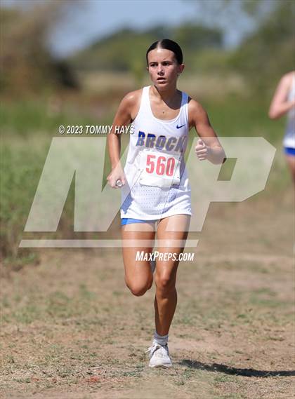 Thumbnail 3 in Brock Cross Country Meet photogallery.