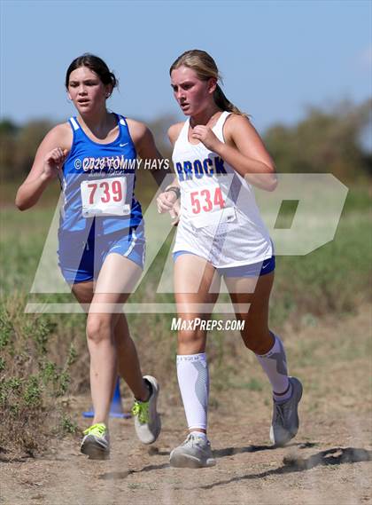 Thumbnail 2 in Brock Cross Country Meet photogallery.