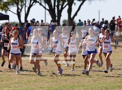 Thumbnail 2 in Brock Cross Country Meet photogallery.