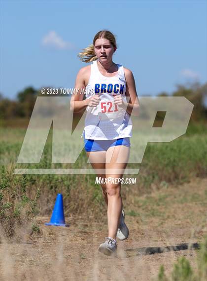 Thumbnail 2 in Brock Cross Country Meet photogallery.