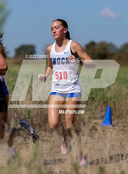 Thumbnail 3 in Brock Cross Country Meet photogallery.