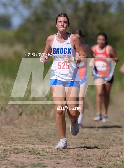 Thumbnail 2 in Brock Cross Country Meet photogallery.