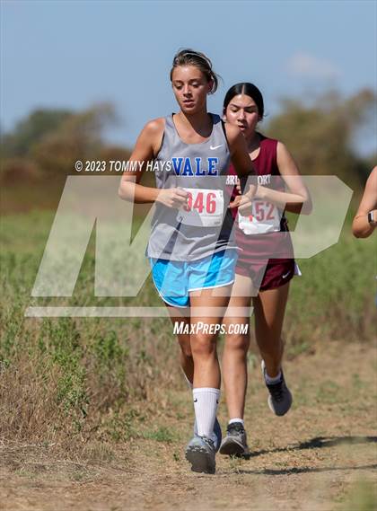 Thumbnail 3 in Brock Cross Country Meet photogallery.