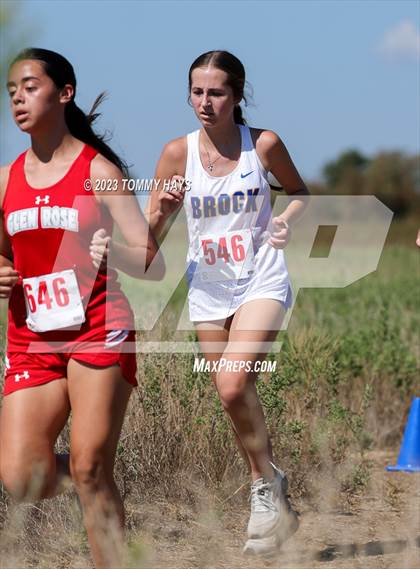 Thumbnail 3 in Brock Cross Country Meet photogallery.