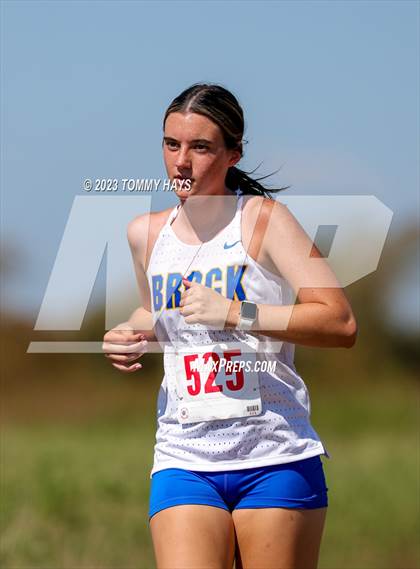 Thumbnail 2 in Brock Cross Country Meet photogallery.