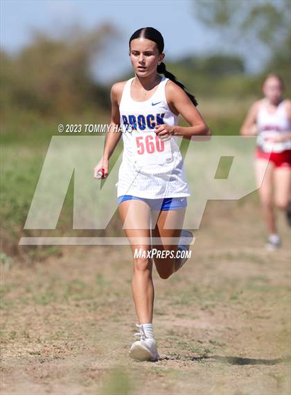Thumbnail 3 in Brock Cross Country Meet photogallery.