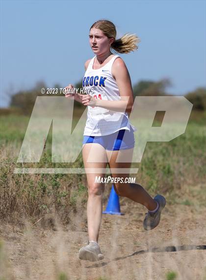 Thumbnail 3 in Brock Cross Country Meet photogallery.
