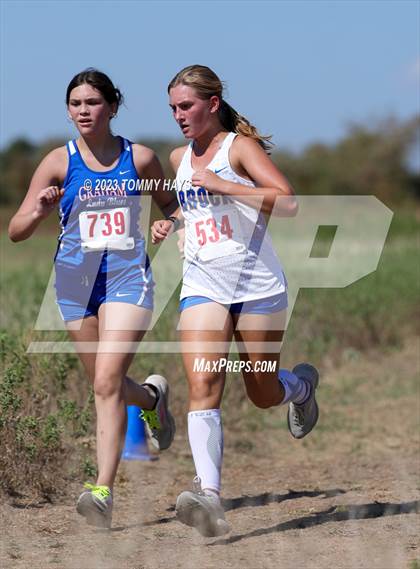 Thumbnail 3 in Brock Cross Country Meet photogallery.