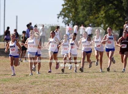Thumbnail 3 in Brock Cross Country Meet photogallery.