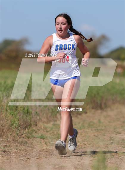Thumbnail 1 in Brock Cross Country Meet photogallery.