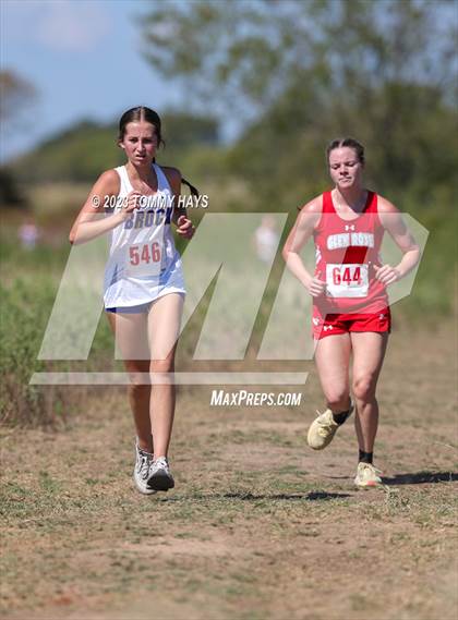 Thumbnail 3 in Brock Cross Country Meet photogallery.