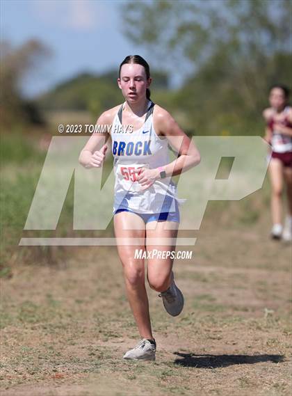 Thumbnail 2 in Brock Cross Country Meet photogallery.