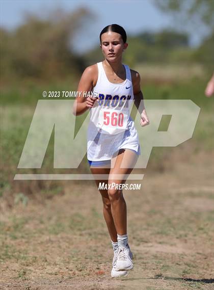 Thumbnail 2 in Brock Cross Country Meet photogallery.