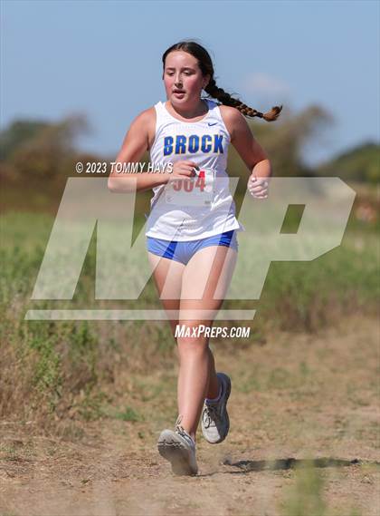 Thumbnail 2 in Brock Cross Country Meet photogallery.