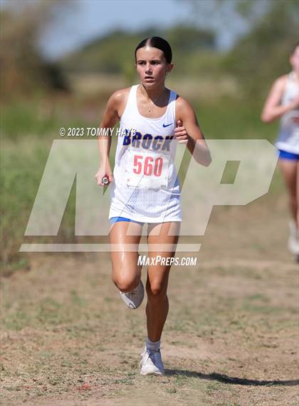Thumbnail 1 in Brock Cross Country Meet photogallery.