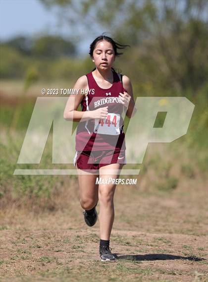 Thumbnail 3 in Brock Cross Country Meet photogallery.