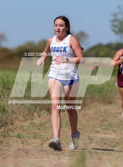 Thumbnail 3 in Brock Cross Country Meet photogallery.