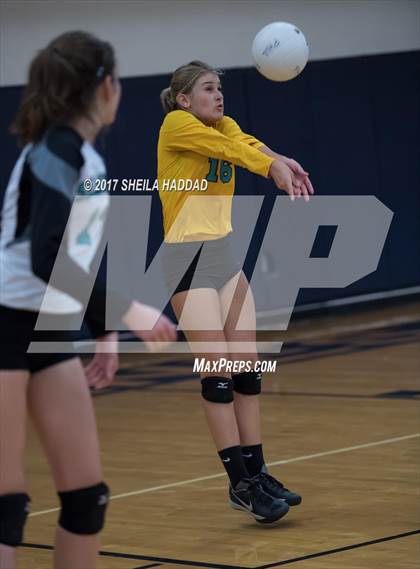 Thumbnail 3 in Sunlake @ Palm Harbor University photogallery.