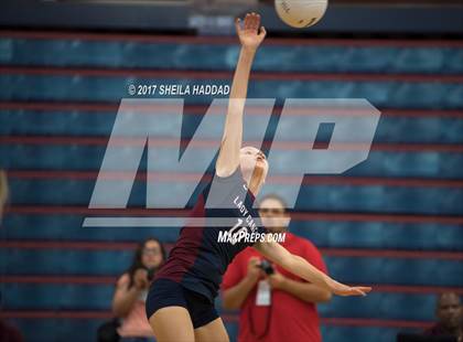 Thumbnail 3 in Sunlake @ Palm Harbor University photogallery.