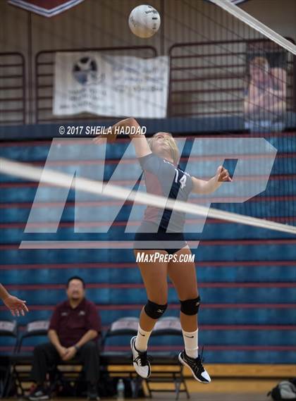 Thumbnail 3 in Sunlake @ Palm Harbor University photogallery.