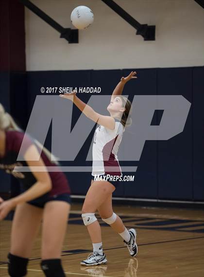 Thumbnail 1 in Sunlake @ Palm Harbor University photogallery.