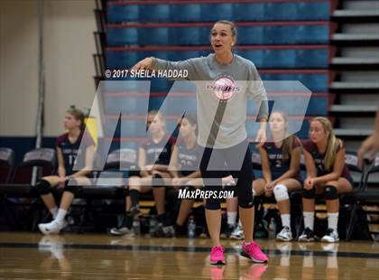 Thumbnail 3 in Sunlake @ Palm Harbor University photogallery.