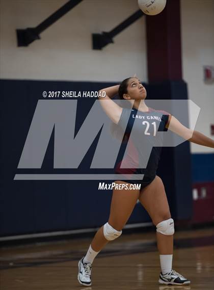 Thumbnail 1 in Sunlake @ Palm Harbor University photogallery.