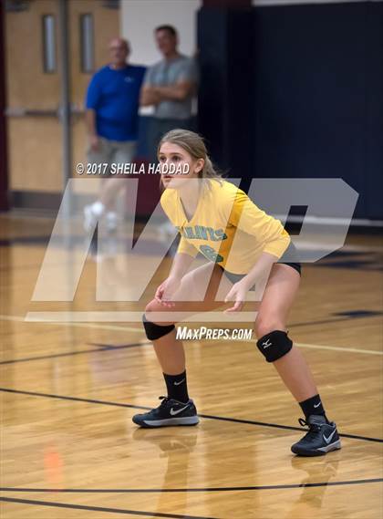 Thumbnail 1 in Sunlake @ Palm Harbor University photogallery.
