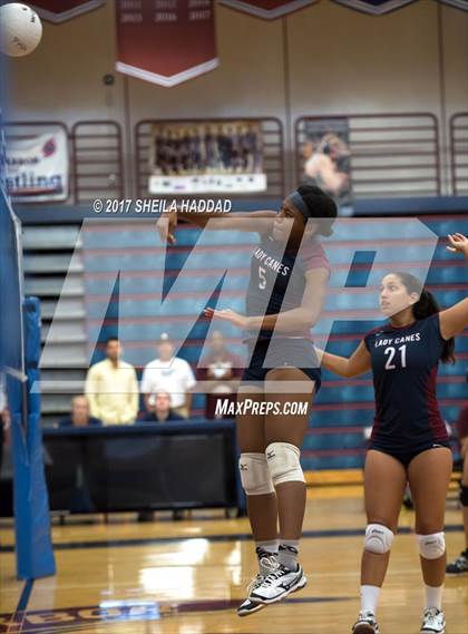 Thumbnail 3 in Sunlake @ Palm Harbor University photogallery.