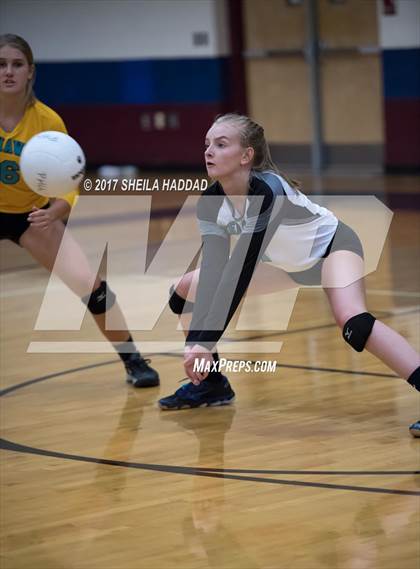 Thumbnail 3 in Sunlake @ Palm Harbor University photogallery.