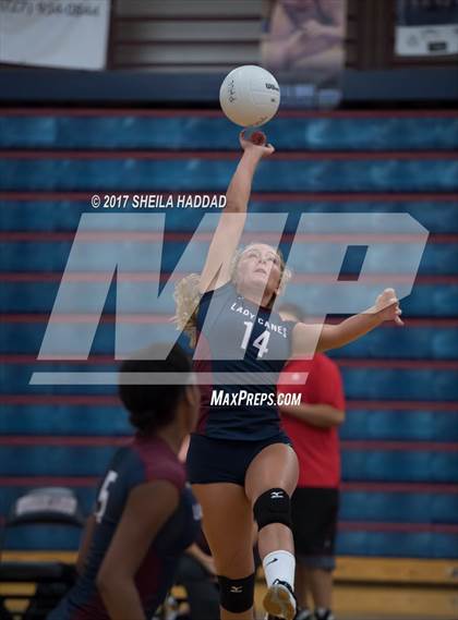 Thumbnail 3 in Sunlake @ Palm Harbor University photogallery.