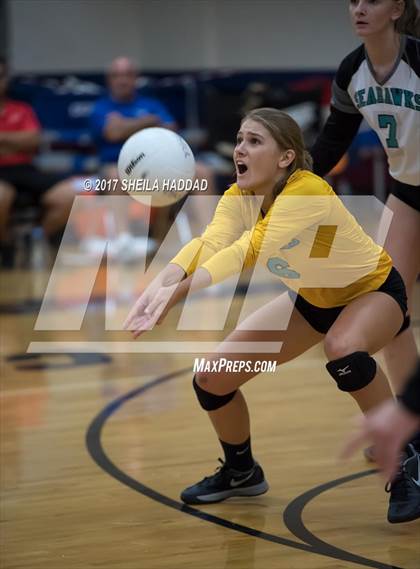 Thumbnail 2 in Sunlake @ Palm Harbor University photogallery.