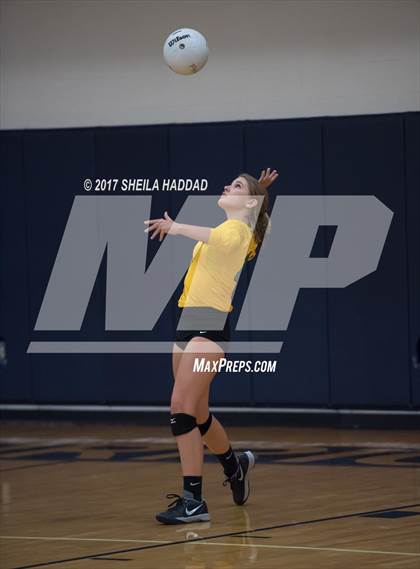 Thumbnail 1 in Sunlake @ Palm Harbor University photogallery.