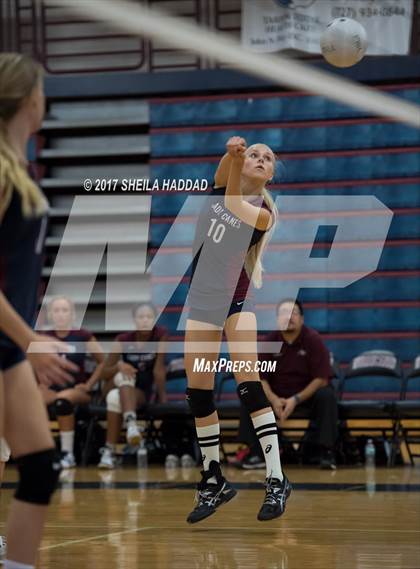 Thumbnail 3 in Sunlake @ Palm Harbor University photogallery.