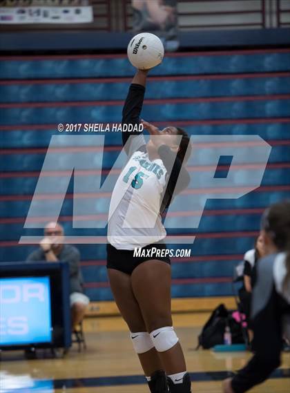 Thumbnail 1 in Sunlake @ Palm Harbor University photogallery.