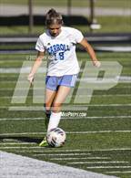 Photo from the gallery "Carroll @ Leo"