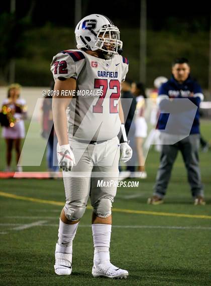 Thumbnail 3 in Roosevelt vs Garfield photogallery.