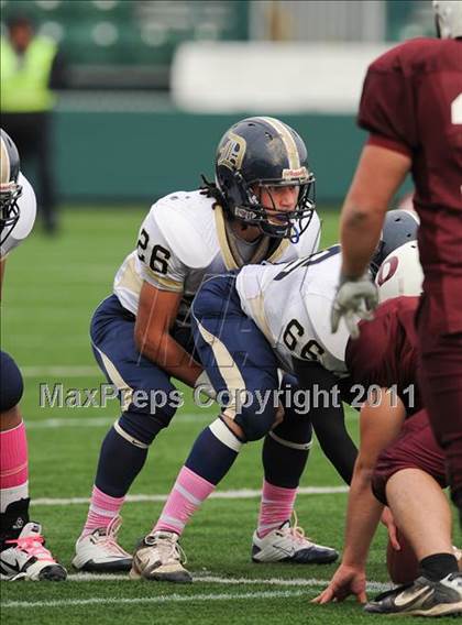 Thumbnail 1 in DeSales vs. Dundee (Section 5 Class D Final) photogallery.