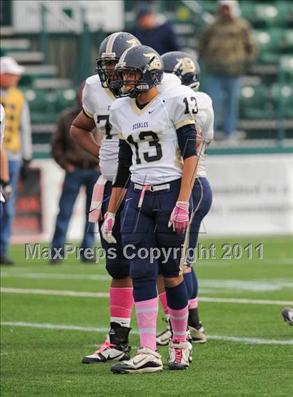 Thumbnail 3 in DeSales vs. Dundee (Section 5 Class D Final) photogallery.