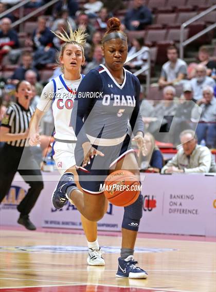 Thumbnail 3 in Cardinal O'Hara vs. Chartiers Valley (PIAA 5A Championship) photogallery.
